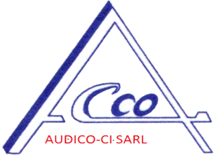 Audit Conseil