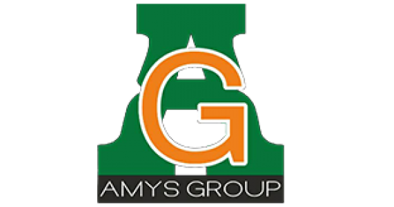 Amys Group 