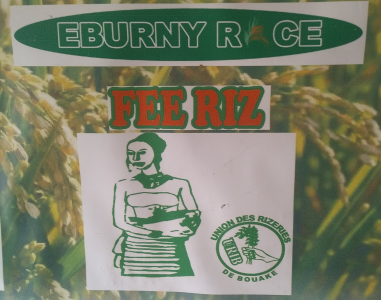 EBURNY RICE 